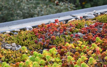 the cost of Upper Sheringham green roof installation