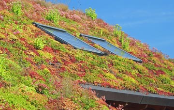 Upper Sheringham living roof systems